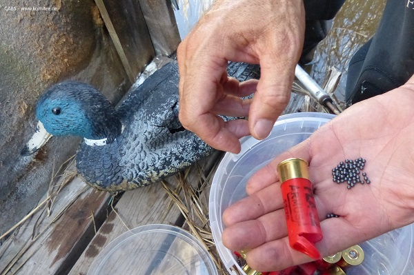 Bleihaltige Schrotmunition ist seit Februar 2023 an Gewässern in der EU verboten. 