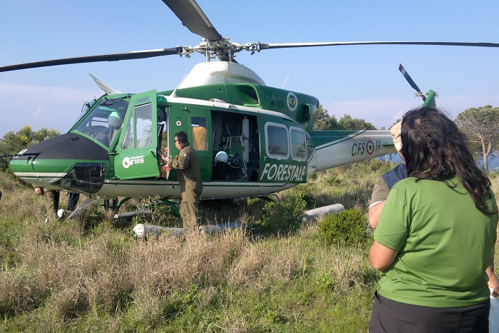 Polizei-Hubschrauber im Einsatz beim Vogelschutzcamp auf Ponza