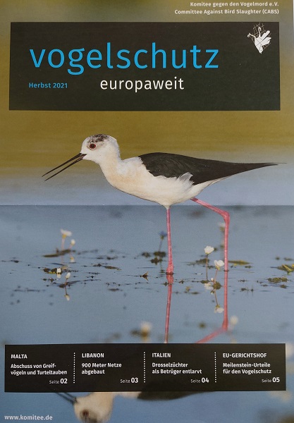 Vogelschutz europaweit 2021